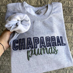 Custom 3D PUFF Embroidery College Team Sweatshirt