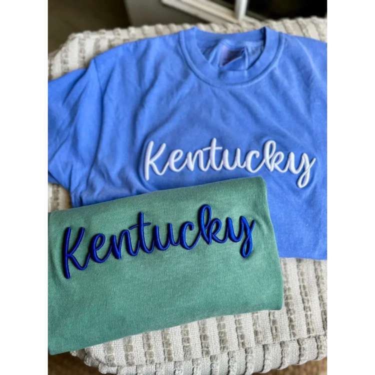 Custom 3D Embroidery Sweatshirt/T-shirt/Hoodie