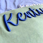 Custom 3D Embroidery Sweatshirt/T-shirt/Hoodie